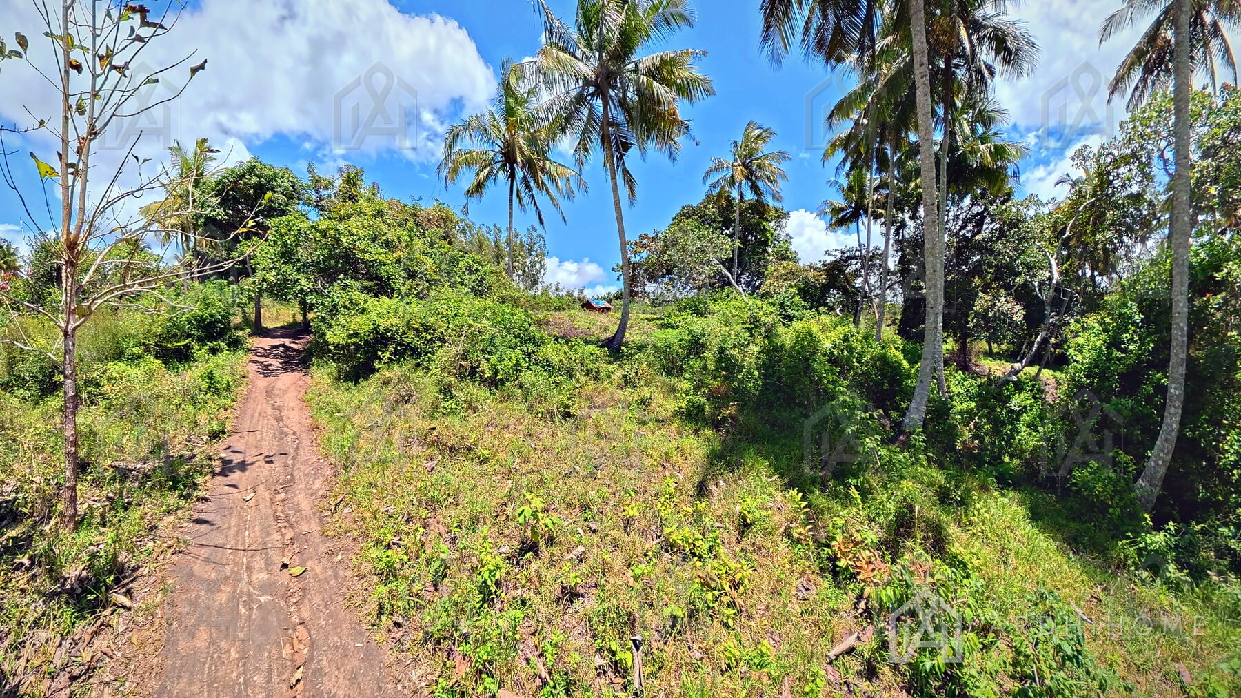 0.75-Acre Land in Godoni, Kinarini, Kwale — photo 4 of 10