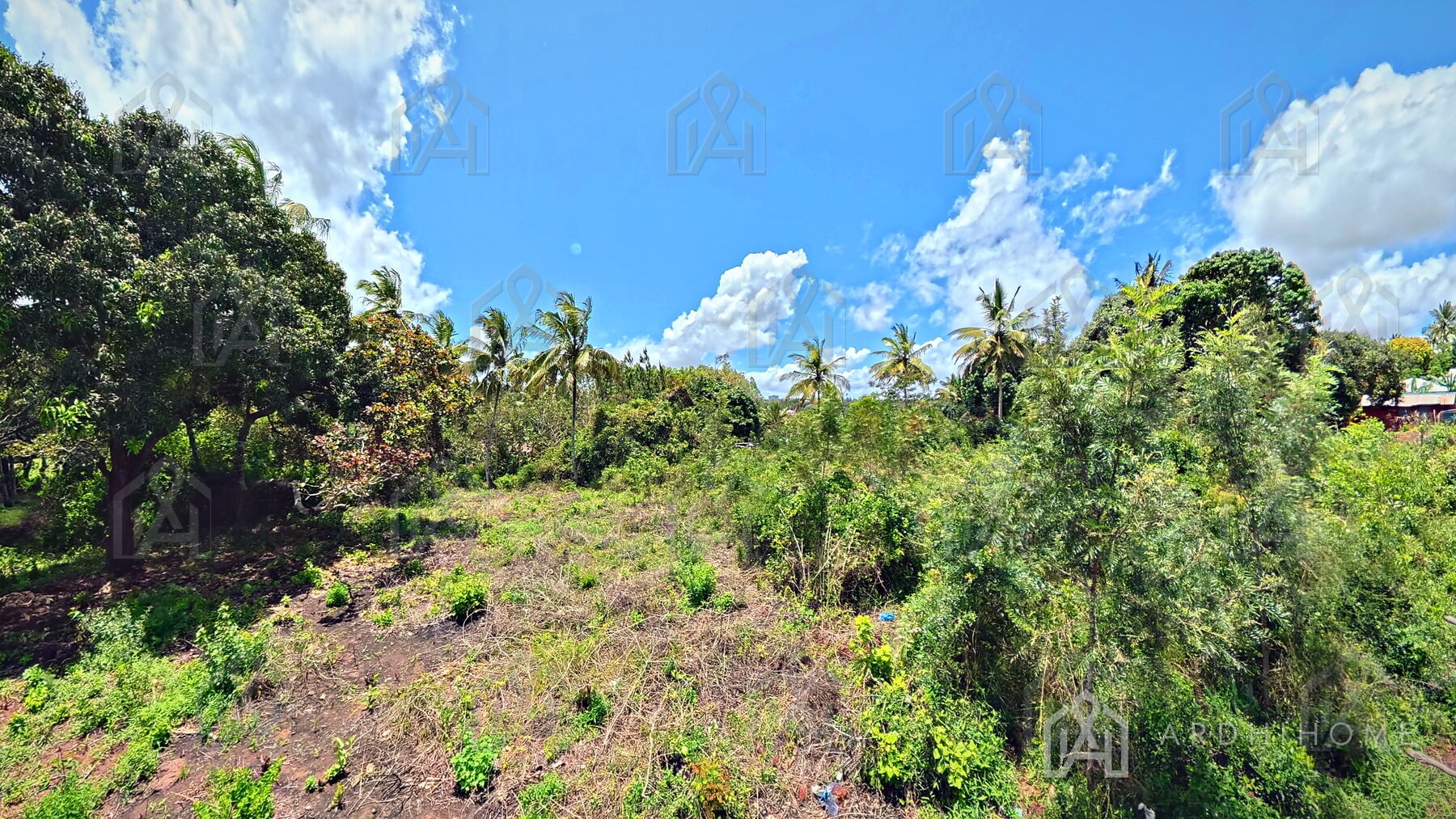 0.75-Acre Land in Godoni, Kinarini, Kwale — photo 5 of 10