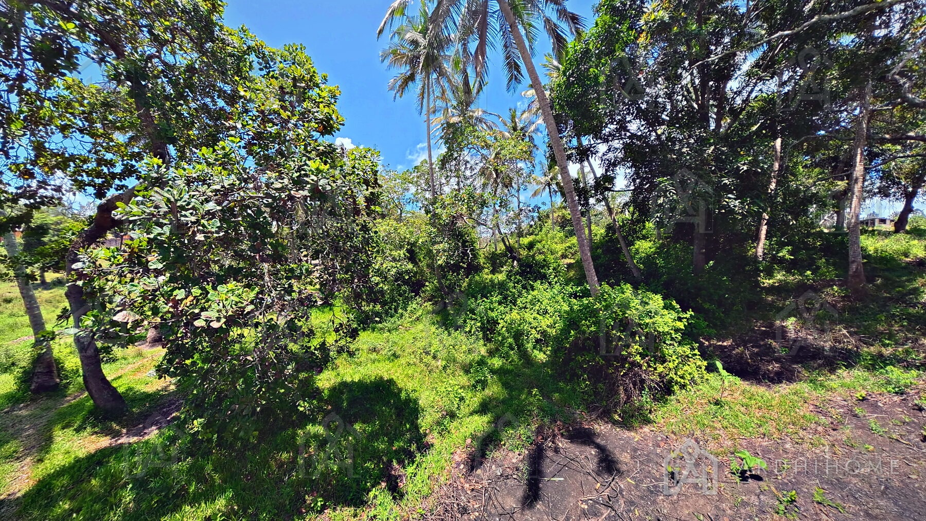 0.75-Acre Land in Godoni, Kinarini, Kwale — photo 8 of 10